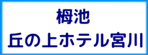tsugaike_miyagawa_char.png